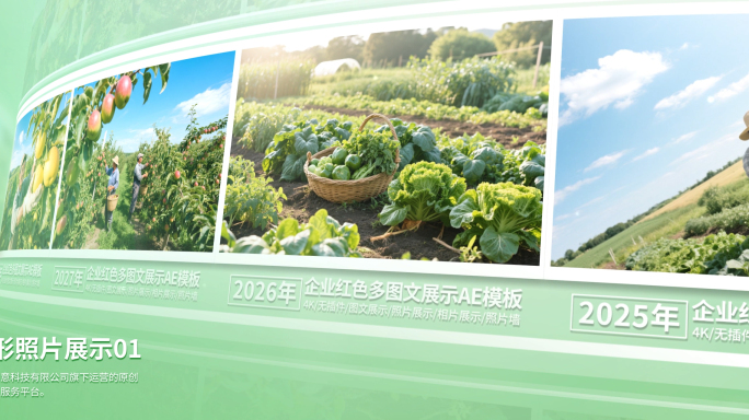 超宽屏绿色农业照片展示照片墙图片AE模板