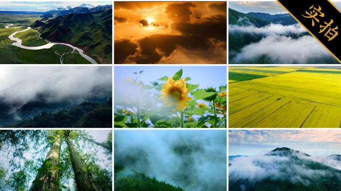 4K自然风景生态环境森林山川河流风光合集