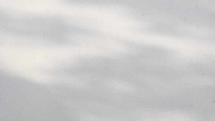 白墙光影斑驳墙面