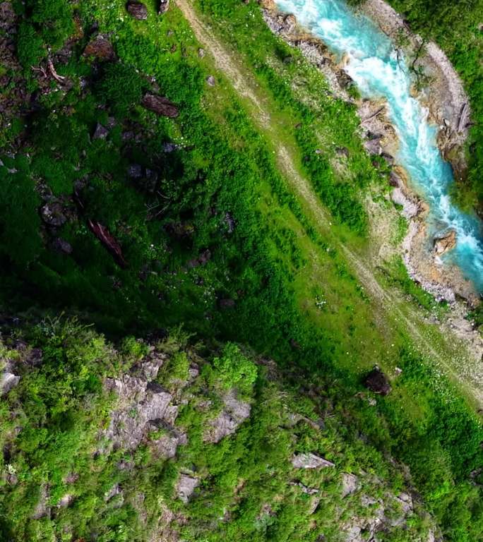 山林徒步探险记