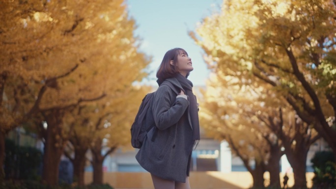 秋季日本城市公园探险，女性游客漫步东京银杏树下，个人旅行与生活方式概念
