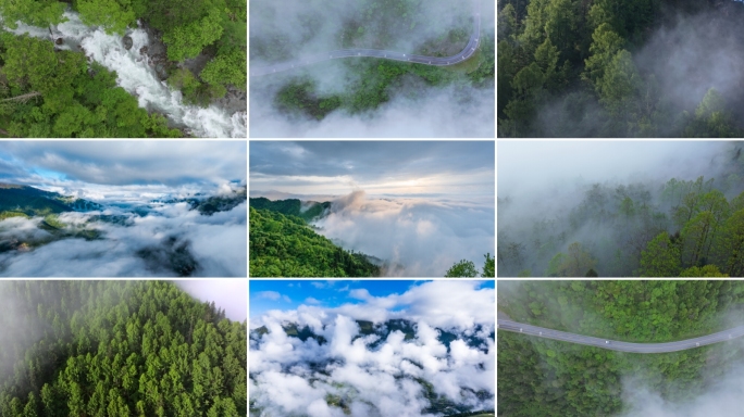森林航拍云雾缭绕山林公路晨雾河水森林意境