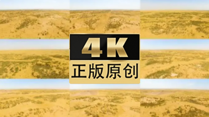 内蒙古治沙防沙航拍2