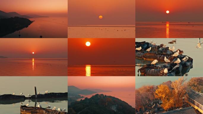 太湖 渔港 灯塔 日出 红嘴鸥