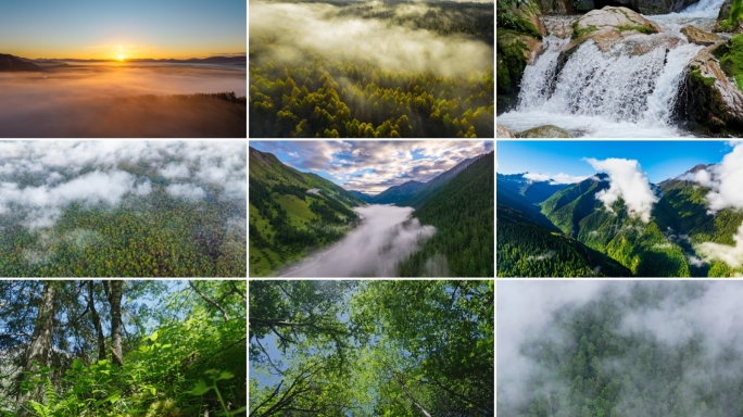 自然森林云雾飘渺阳光云雾山林秘境绿水青山