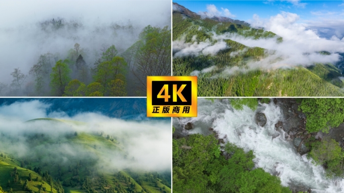 自然森林云雾飘渺阳光云雾山林秘境绿水青山