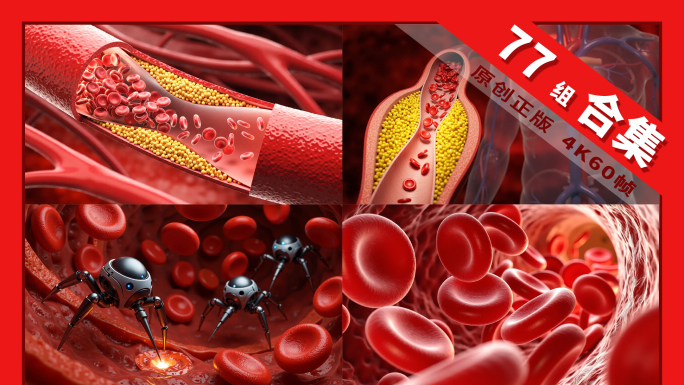 血管循环系统白细胞血细胞脂质支架机器人