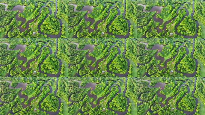 航拍大石头沙河湿地-23-上升-大龙