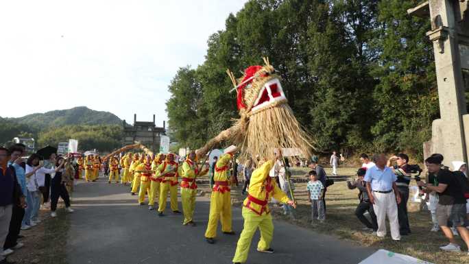 传统舞龙表演 民俗文化活动