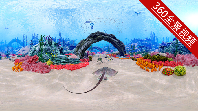 360 全景视频 梦幻海底世界
