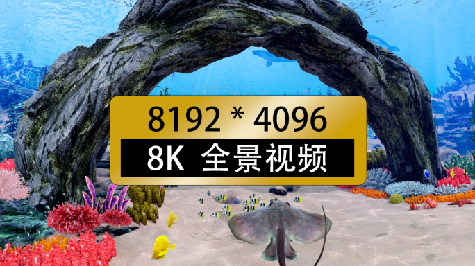 360 全景视频 梦幻海底世界