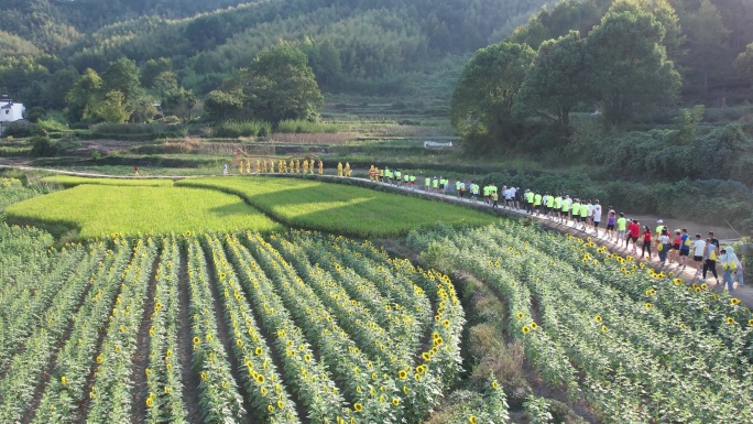 传统舞龙表演 民俗文化活动