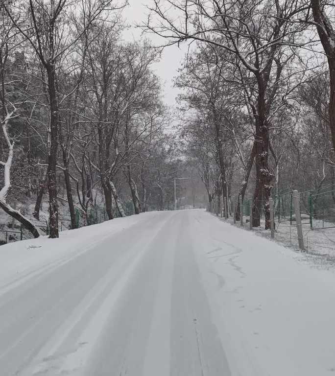 大泽山雪中林间小路
