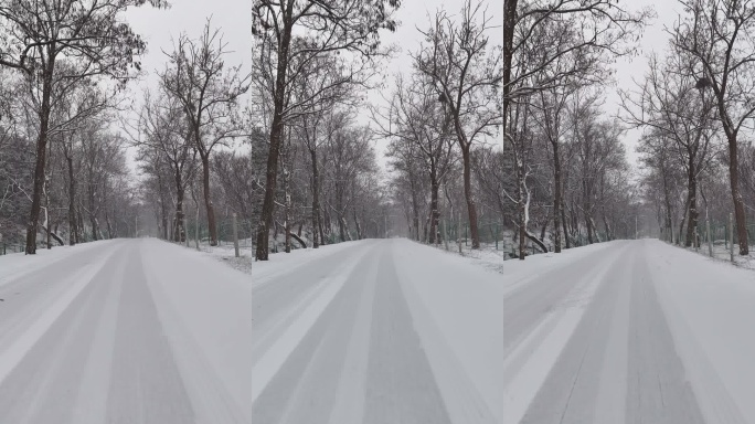 大泽山雪中林间小路