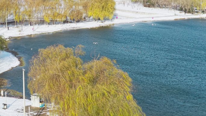 航拍郑州北龙湖雪景HDR杜比世界