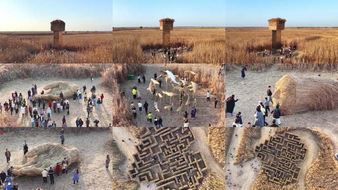 2025天下洞庭国际芦苇艺术季