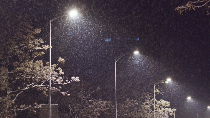 城市冬夜雪景