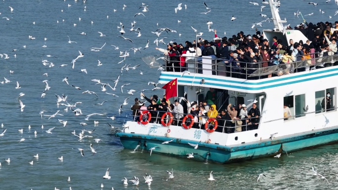 无锡鼋头渚日落最美红嘴鸥与游船湖景航拍