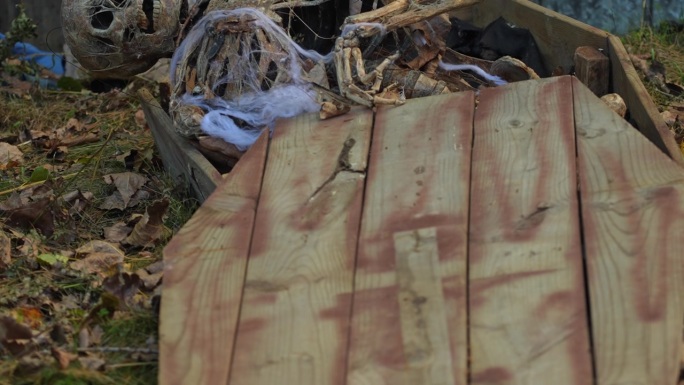 木棺中的人类骨骼。墓地和地下的骨骼特写。地下墓穴中的人类遗骸、头骨、肋骨和手骨。