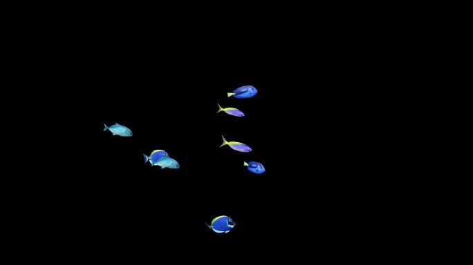 8K鱼群2(有algha通道)