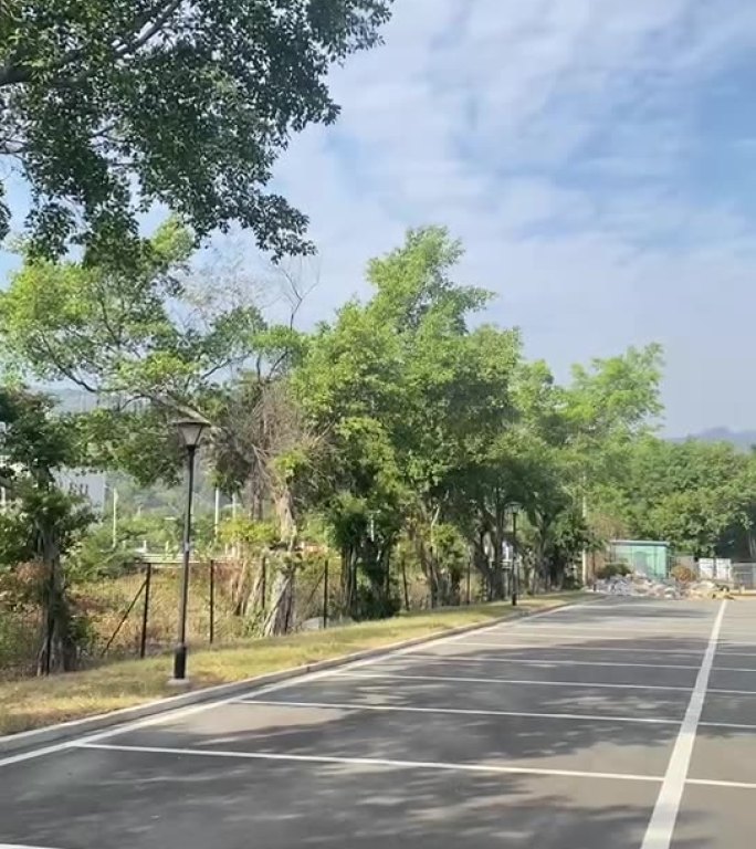 阳光透过树叶的道路 厂房