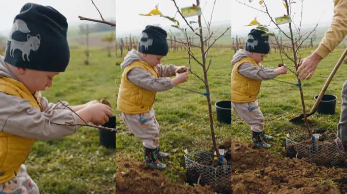 父子俩在开阔的田野里愉快地植树