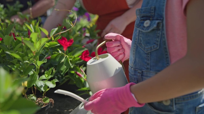 白人女孩在熙熙攘攘的温室里，顾客在场，愉快地给花浇水