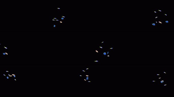 8K鱼群7(有algha通道)