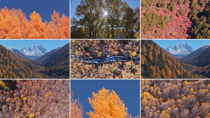 秋天 秋日 金秋 秋季 秋天风景秋天风光