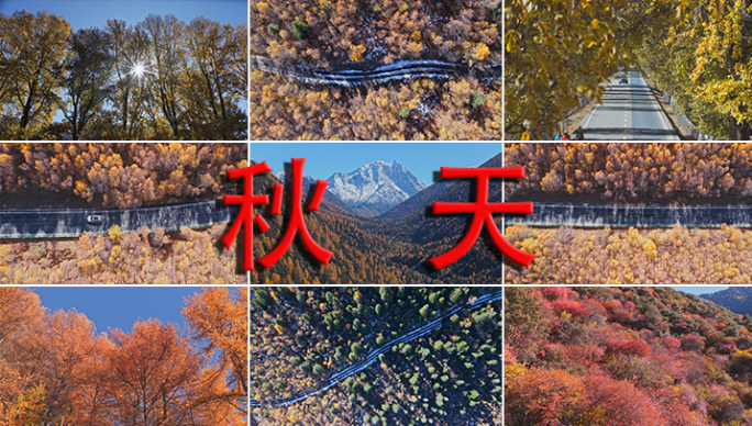 秋天 秋日 金秋 秋季 秋天风景秋天风光