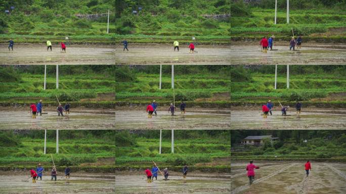 农民田间播种劳作场景