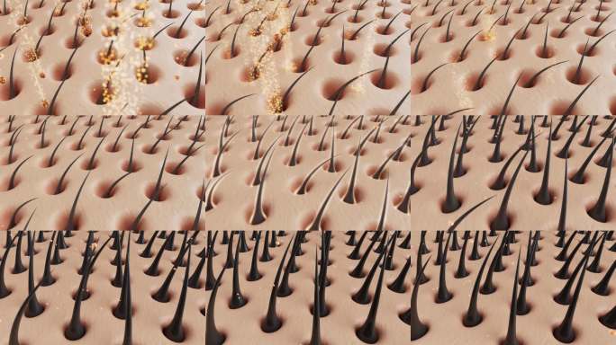 头发修复毛囊生长头发护理