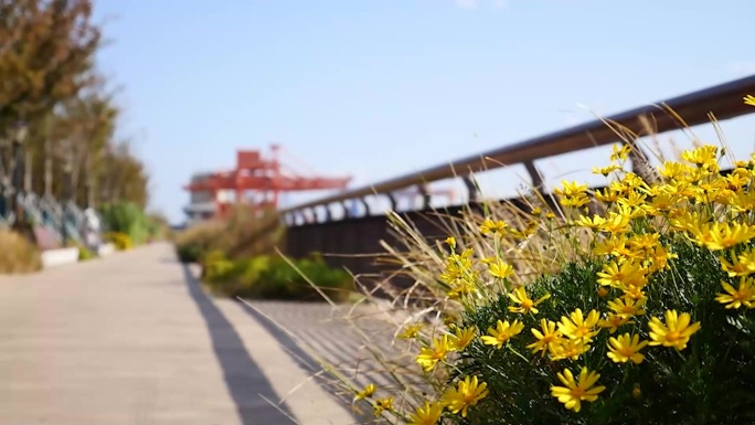 杨浦区地标延时 航拍