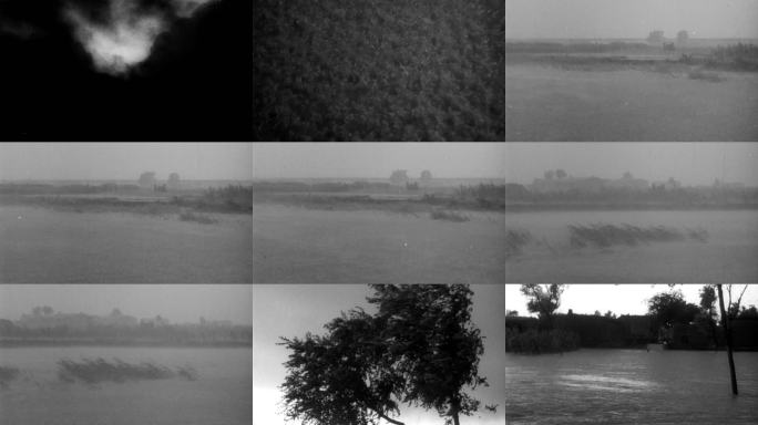 上世纪特大暴雨水灾洪涝灾害