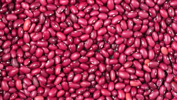 红腰豆在生动的食物背景中填满画面。