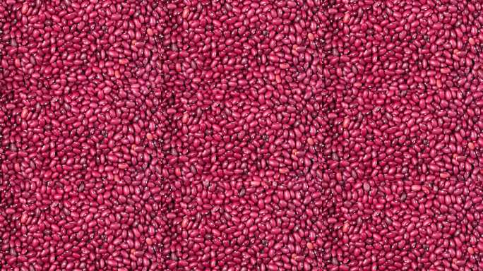 红腰豆在生动的食物背景中填满画面。