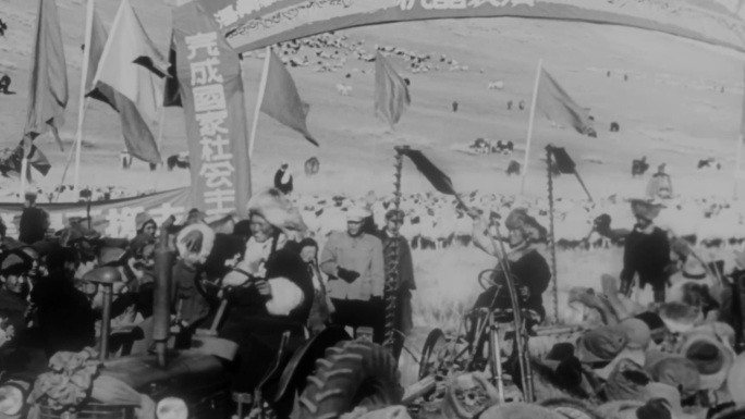 新中国农业 社会主义农业改造