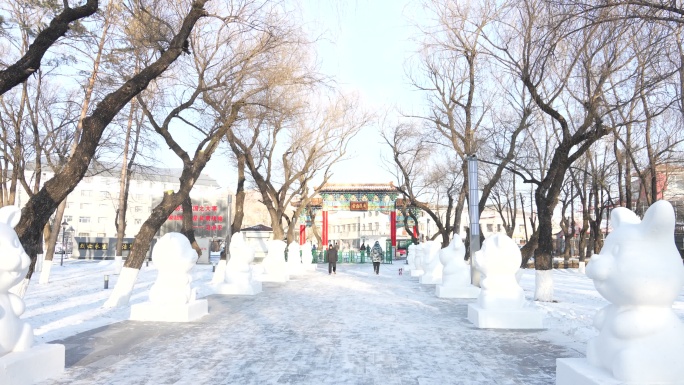 冬日公园雪景漫步