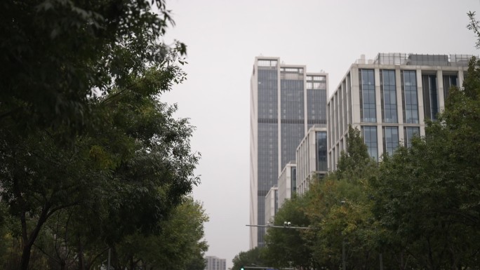 后退的城市街道树木高楼