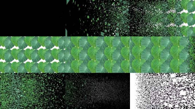 叠加绿叶层转场