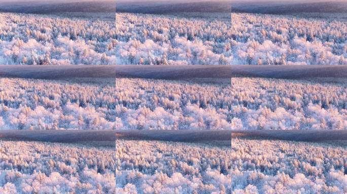 航拍仙峰0114-39-侧飞