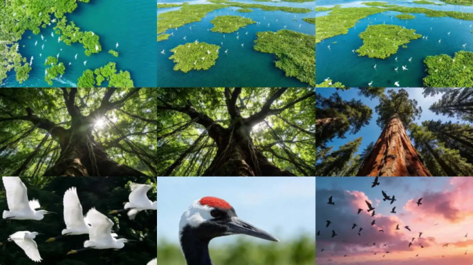 自然生态美景合集