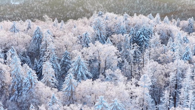航拍仙峰0117-100-环绕