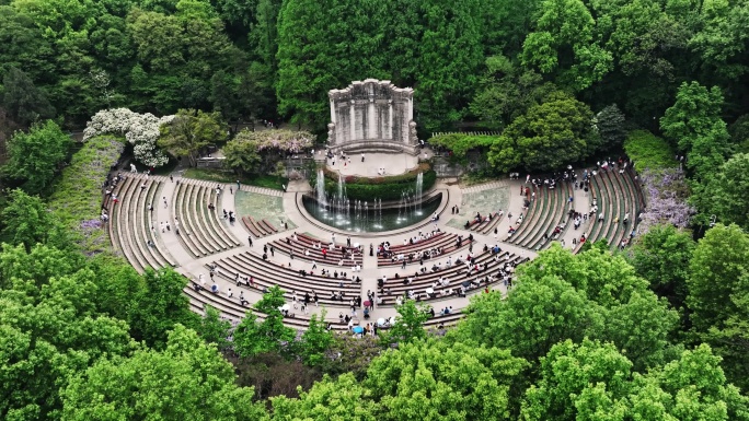 4K航拍南京音乐台梧桐大道