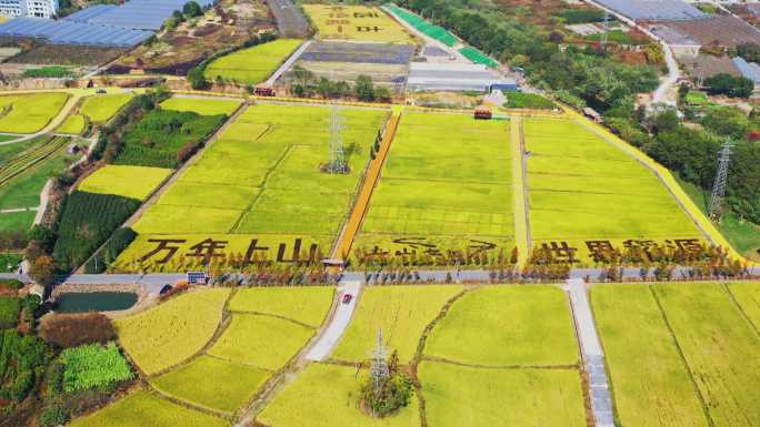 浦江县宣传片历史上山文化遗址拍摄