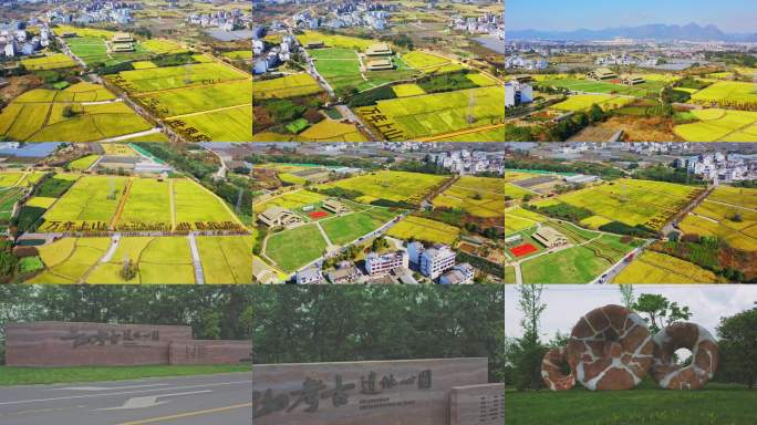 浦江县宣传片历史上山文化遗址拍摄