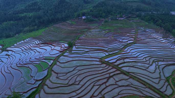 江西宜丰梯田晨雾