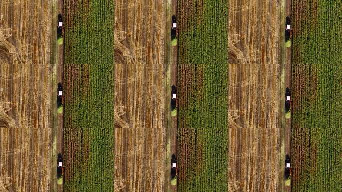 航拍无人机视角，农业田地里拖拉机正在收割玉米。