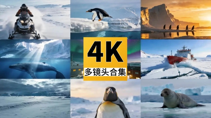 南极科考破冰船南极企鹅海豹鲸鱼北极熊
