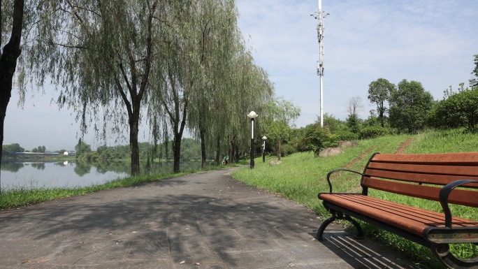 绿意湖畔小径风光